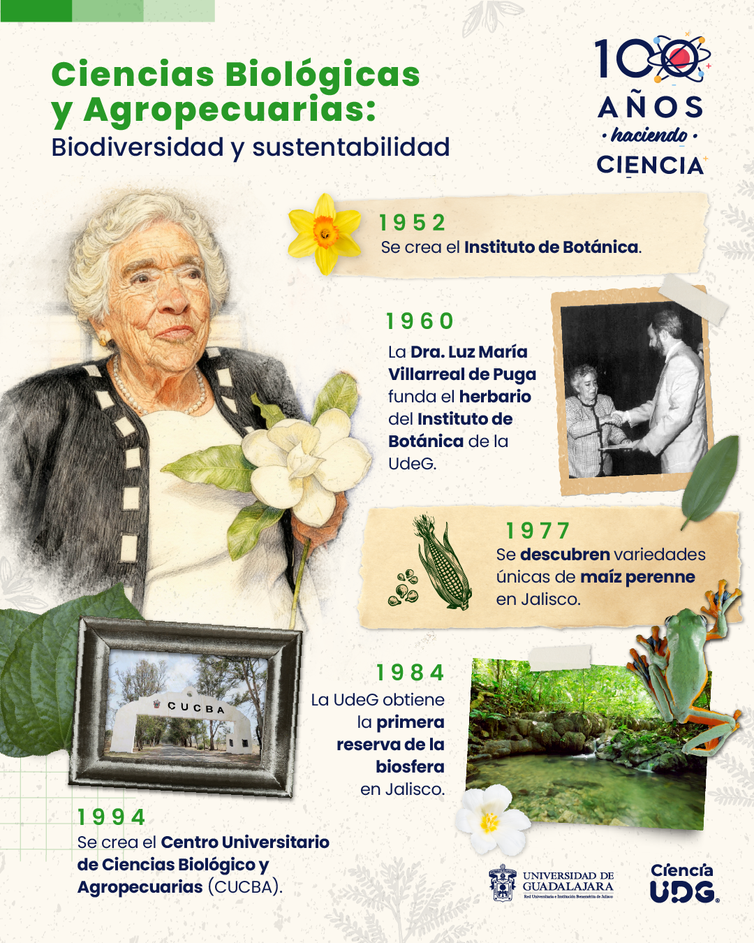 linea del tiempo cucba