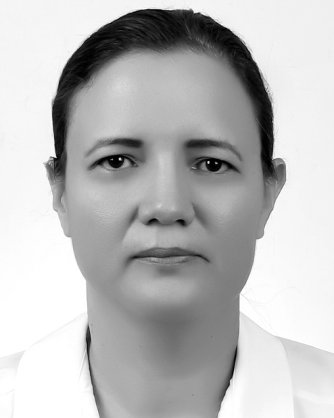 Dra. Sandra Teresita Núñez Guzmán