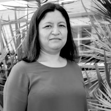 Dra. M. Guadalupe Rivera Garay 