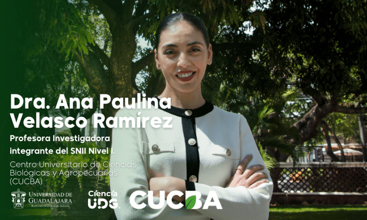 Dra. Ana Paulina Velasco Ramírez cucba udg